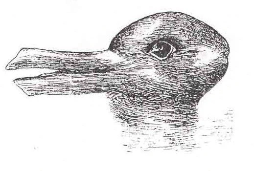 The duck-rabbit figure printed in Fliegende Blatter in 1892, read here as a duck facing left